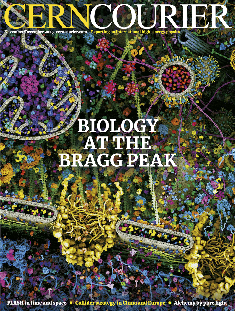 November/December Courier Cover, showing an image of cells with the title "Biology at the Bragg Peak"over the top